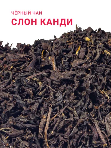 Слон Канди