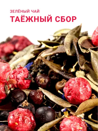 Таёжный сбор