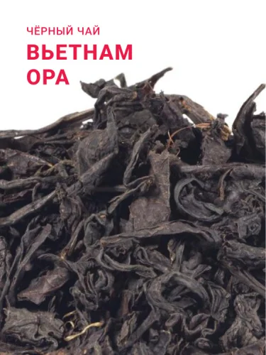 Вьетнам OPA