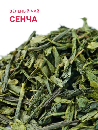 Сенча