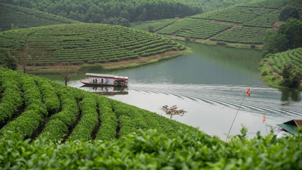 tea-plantation-lake-1600x900.jpg