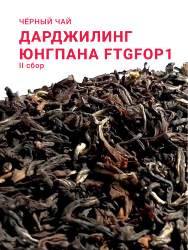 Дарджилинг Юнгпана FTGFOP1 (2 сбор, 2025)