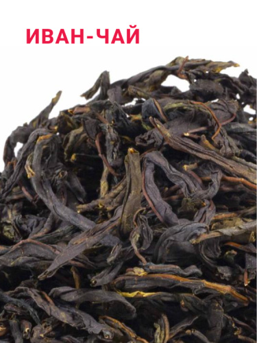 Иван-чай