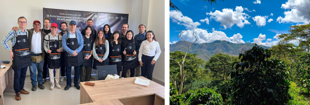 Заметки из командировки